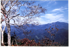 1998年10月　茅ケ岳山行にて