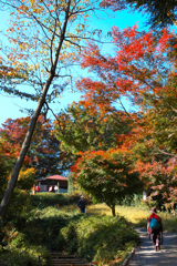 秋色に染まる高尾を歩く