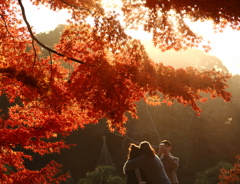 160　綺麗に撮ってね