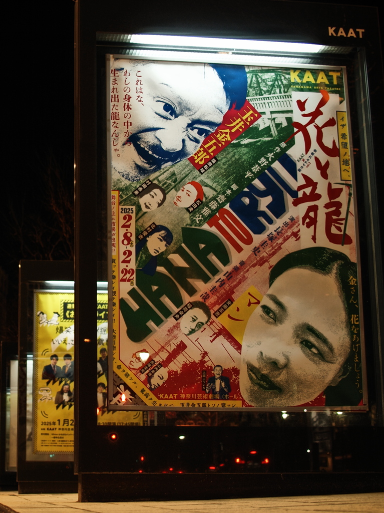 花と龍