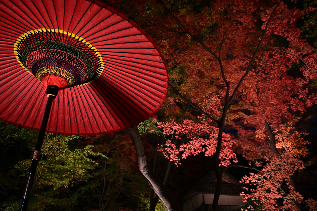 183　六義園　赤い空間