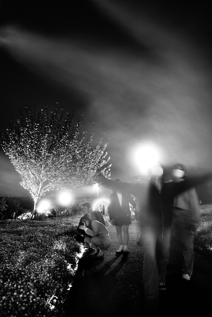 夜霧よ今夜も有難う