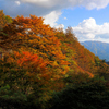 柳沢峠の秋