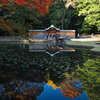 小石川後楽園　唐門リフレクション