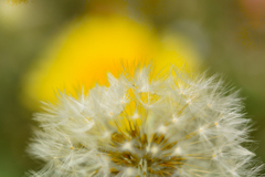 もうすぐ旅立ちだよ~ もうすぐ旅立ちだよ~