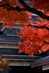 古城の秋