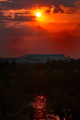 夕陽に染まる荒川