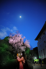 ★月と桜とスマートホン