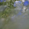 雨上がりの午後