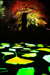 176　恋人たちの影