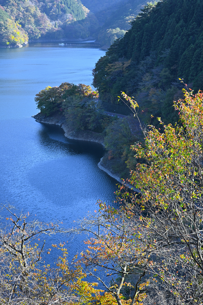 色づき始めた奥多摩湖畔