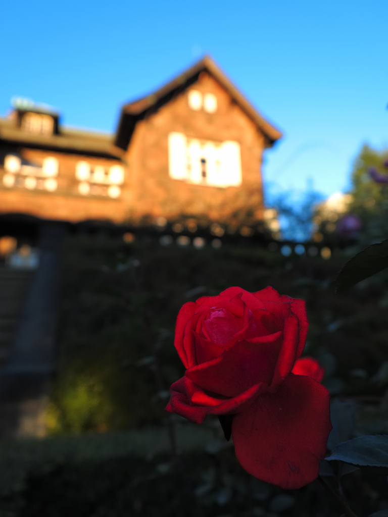 165　洋館と赤い薔薇
