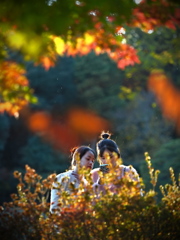 二人の秋