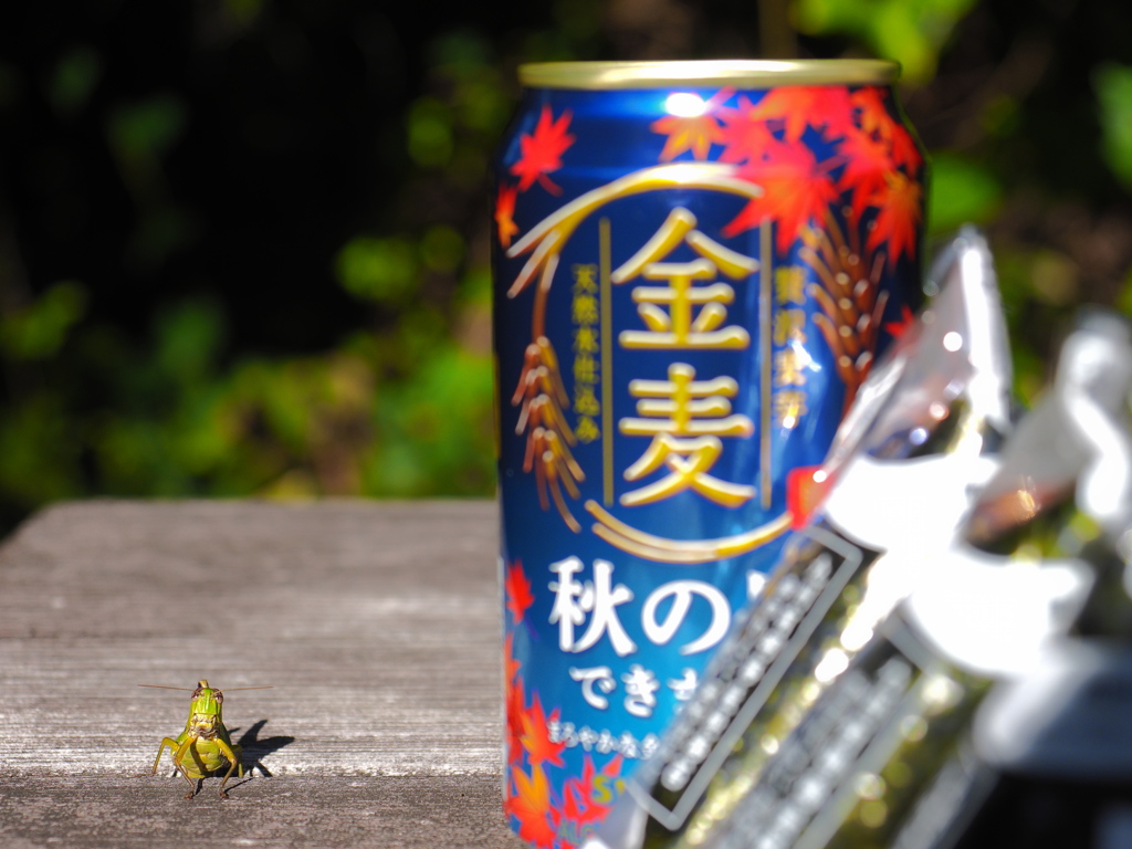 高尾山　バッタさんとの昼食