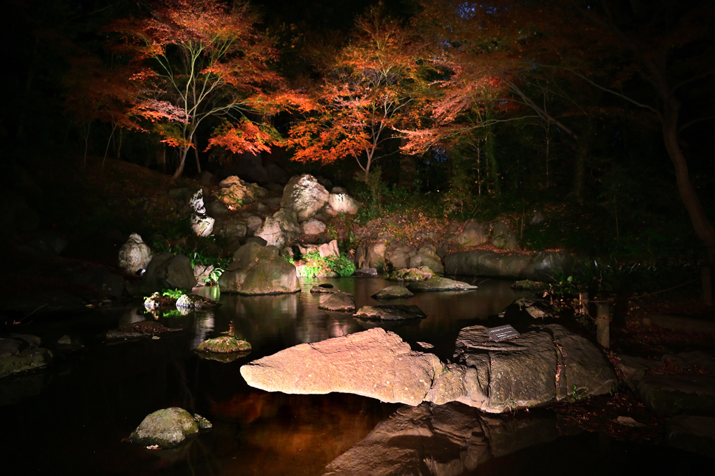 184　六義園　水分石