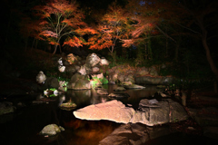 184　六義園　水分石