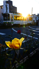 158  晩秋の色彩