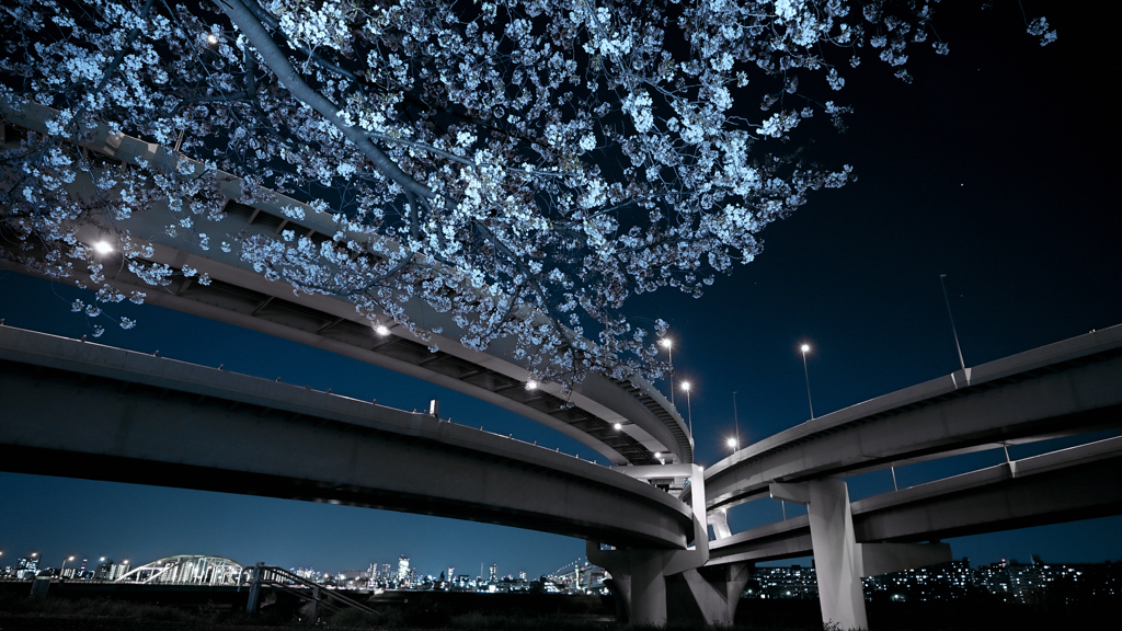 青い影