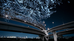 青い影
