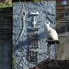 猫町散歩