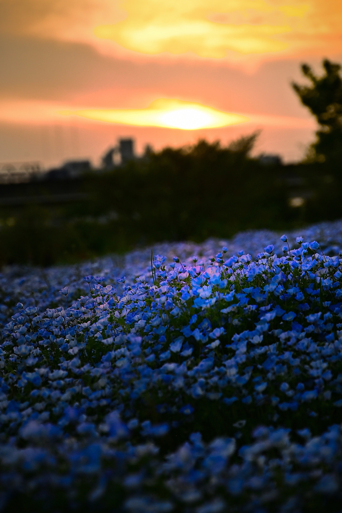 静寂な夕暮れ