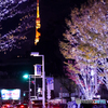 TOKYO TOWER