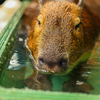いい湯だな〜