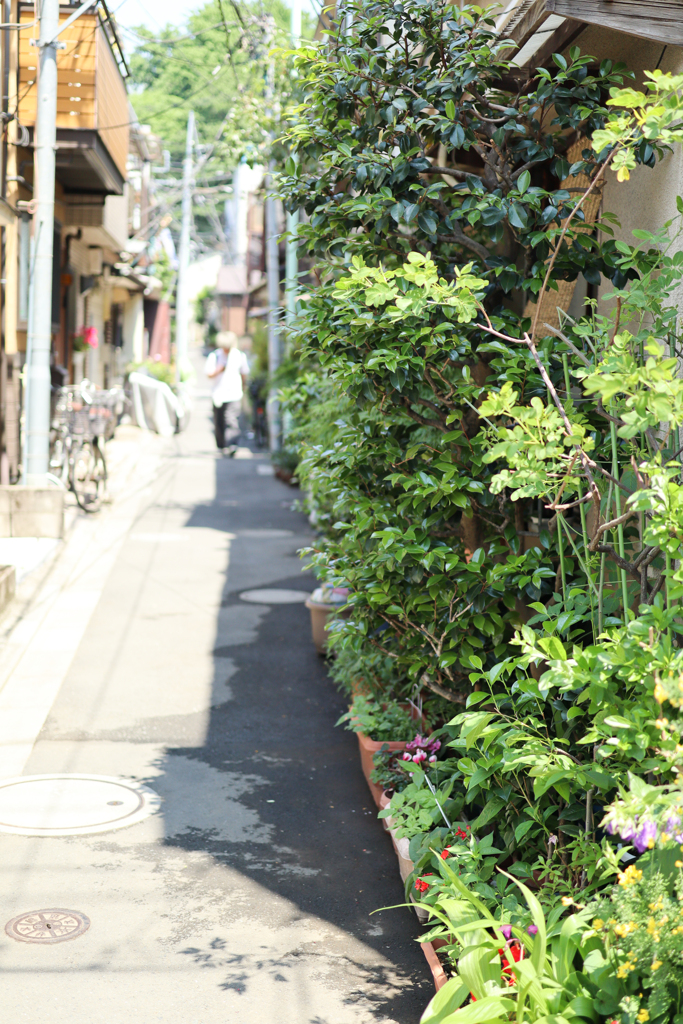 谷根千　お散歩