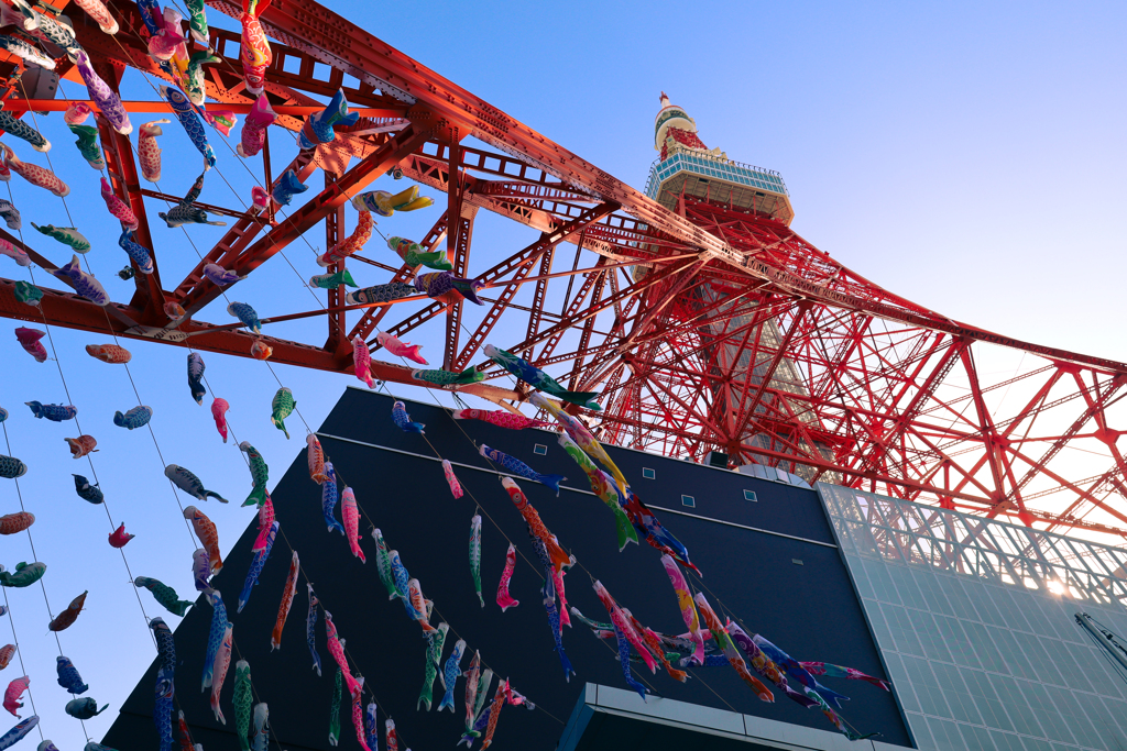 東京タワー　鯉のぼり