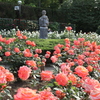 神代植物公園　バラ園