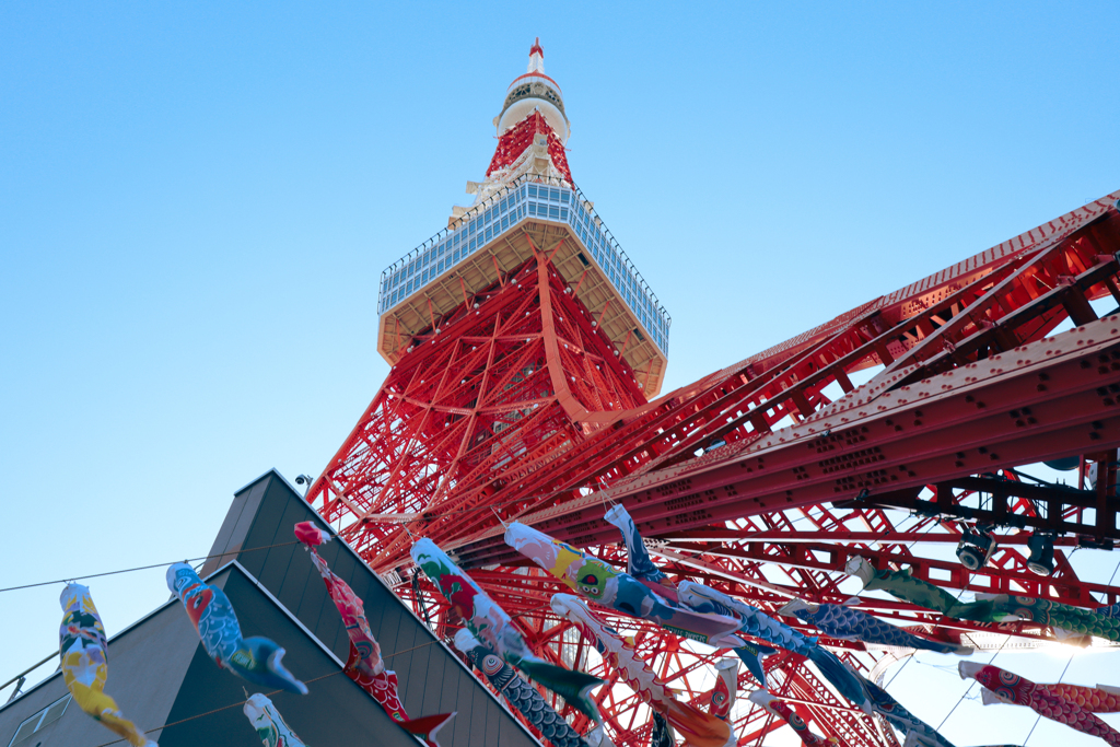 東京タワー　鯉のぼり