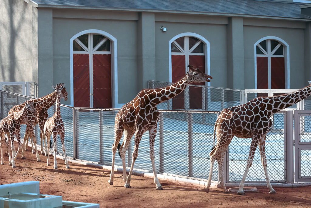 多摩動物園
