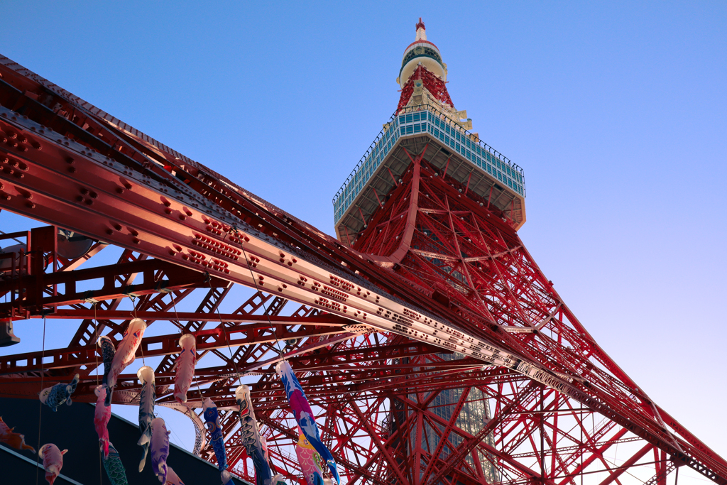 東京タワー　夕暮れ
