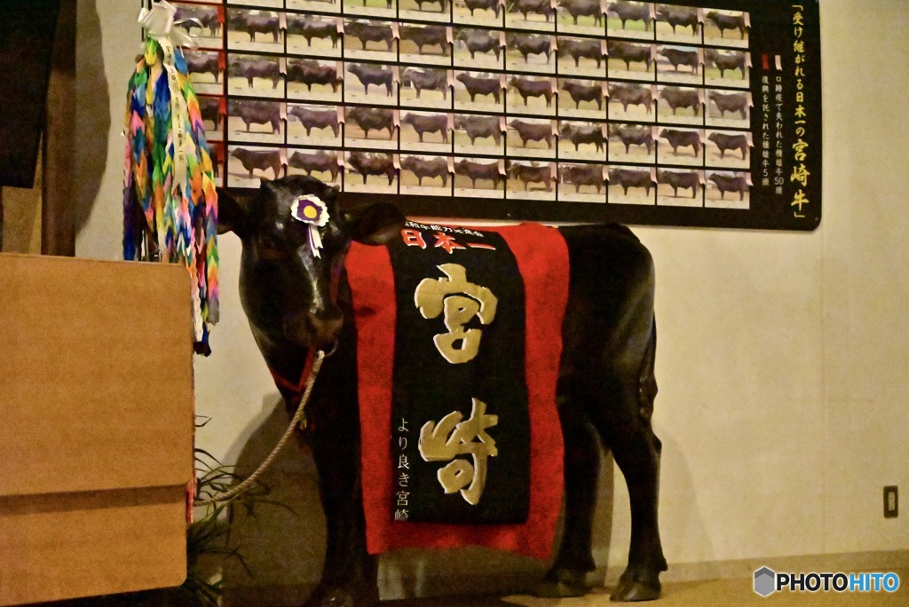 口蹄疫・メモリアル