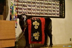 口蹄疫・メモリアル