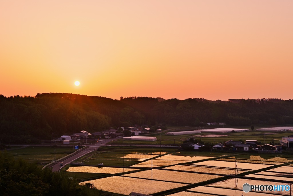 寒い朝