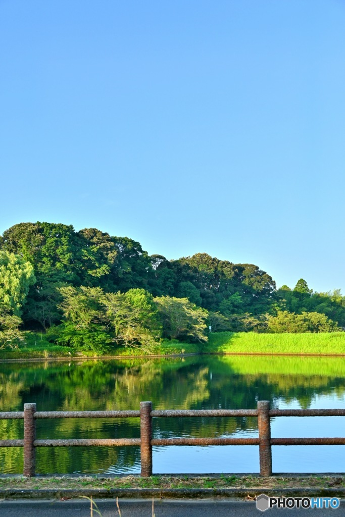 池