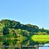 池