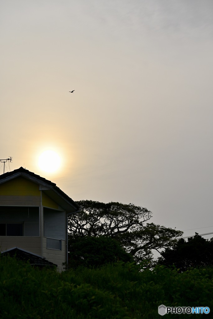 本日の夕陽