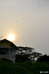 本日の夕陽