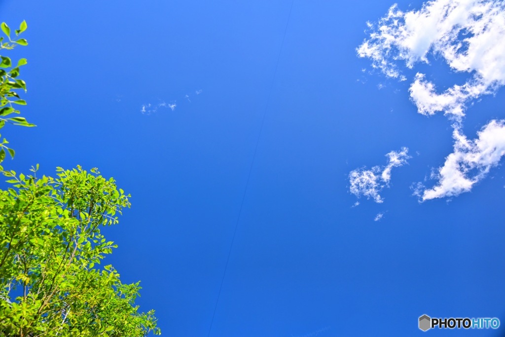 春空