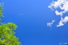 春空