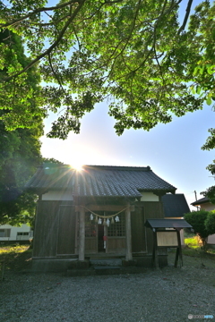 初夏を想わせる