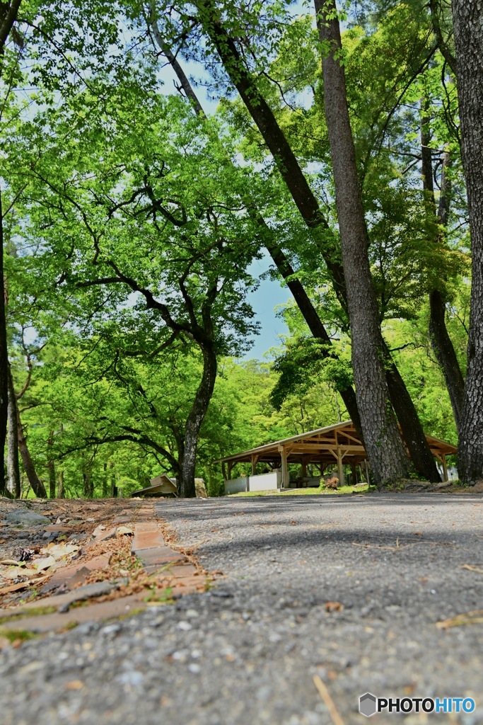 御池・野鳥の森キャンプ場