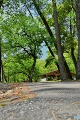 御池・野鳥の森キャンプ場