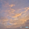 本日の空