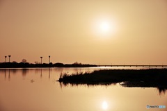 小丸川