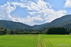 過去pic 木城町『えほんの郷』