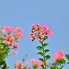 待望の青空