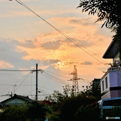 明日から雨…